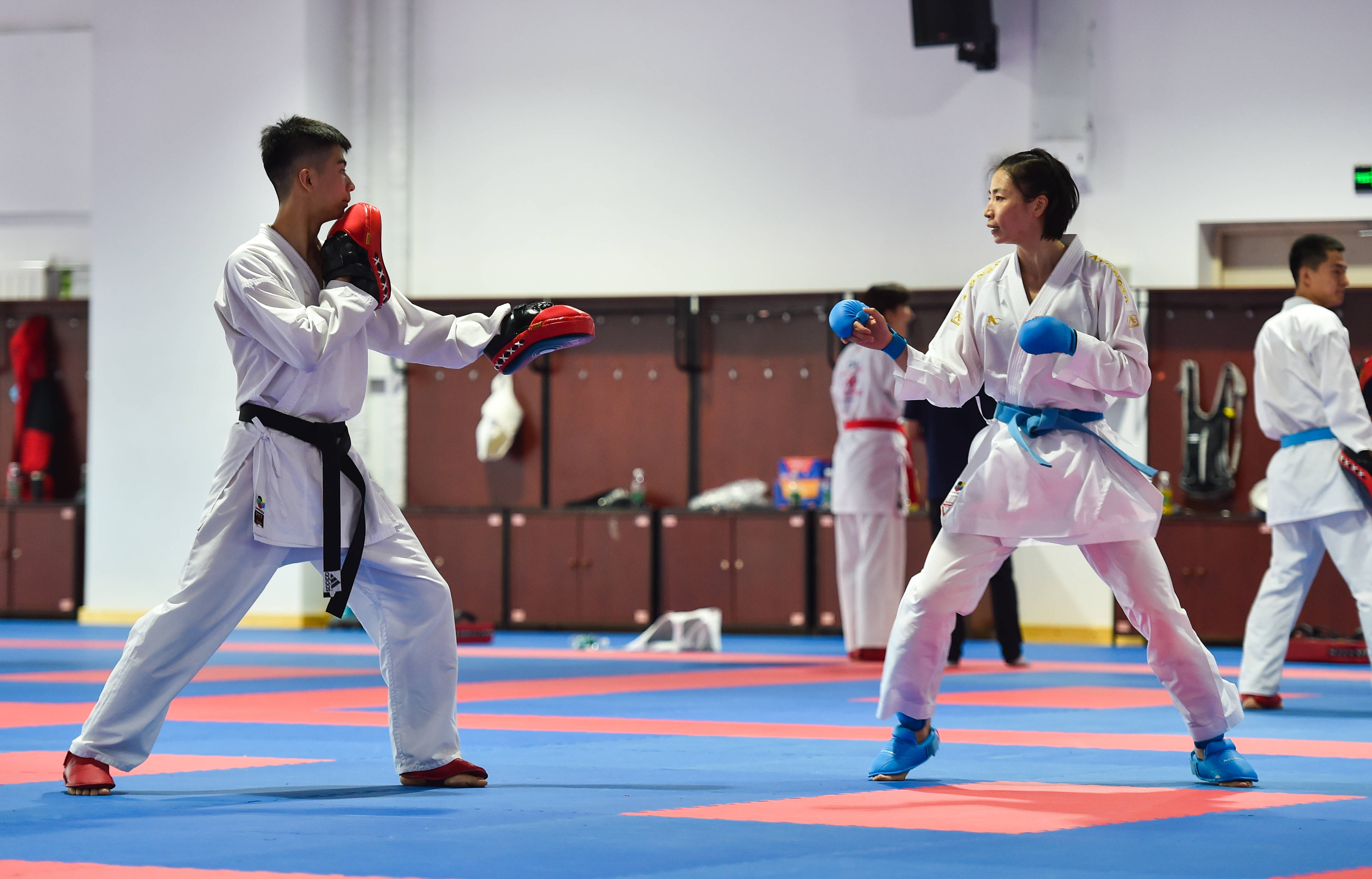 熊猫直播tv-包含空手道选手技惊四座连连震撼的词条